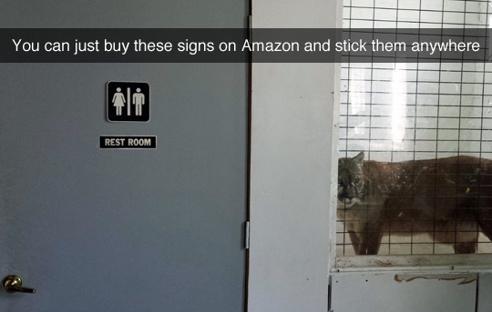 tastefullyoffensive:  [kevlaryarmulke]