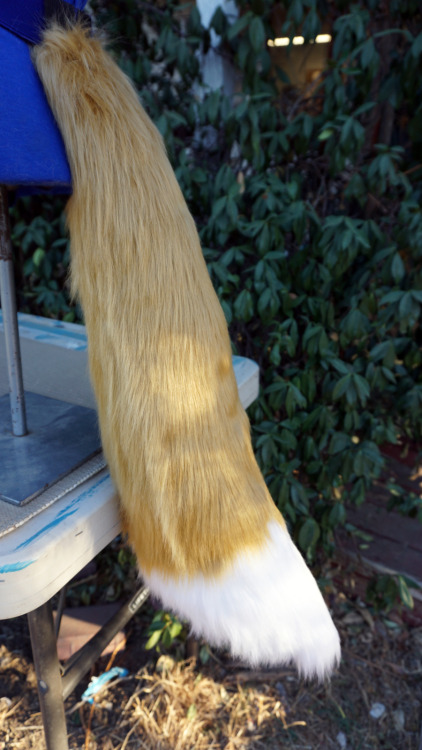  Long Fox Tails Finally got a pic of caramel with a white tip! Love the contrast with these colors.S