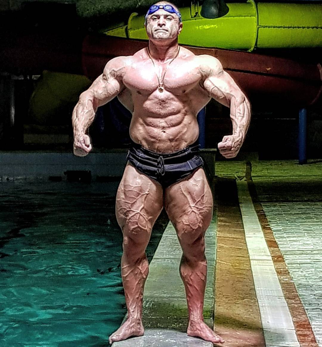   Jafar Ghafarnezhad  