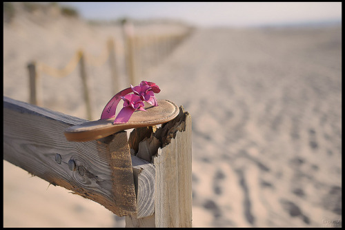 Thong on The Beach by David 6of7 on Flickr.