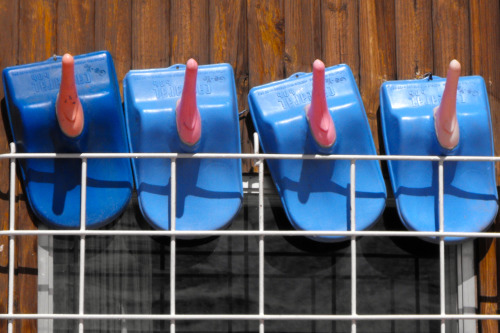 Snow Sleds, Los Penitentes Ski Area, Mendoza, Argentina, 2008.Blue Day!