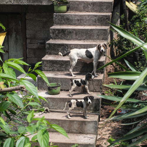 stairs