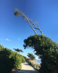 Dans le vent #filaire #filariamedia #anemomorphose #larochelle #auborddelocean #onsadapte (à La Rochelle, France)https://www.instagram.com/p/Cjd1VG1MdY3/?igshid=NGJjMDIxMWI=