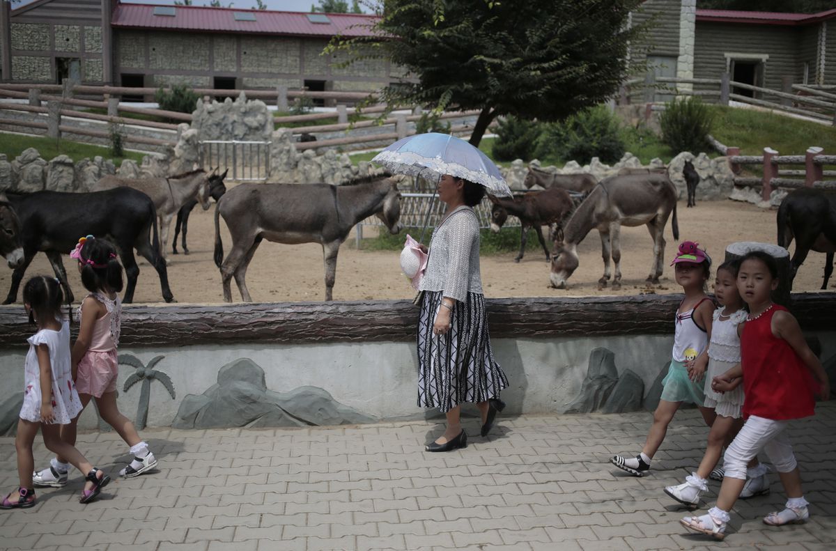 fotojournalismus:  A Day at the Zoo in Pyongyang (August 23, 2016)Photos by Dita