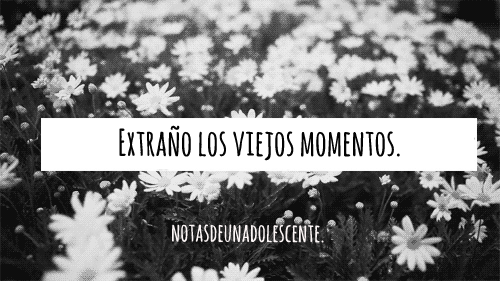 Notas de una Adolescente