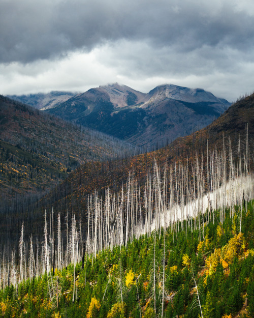 Glacier National Park, September 2015.