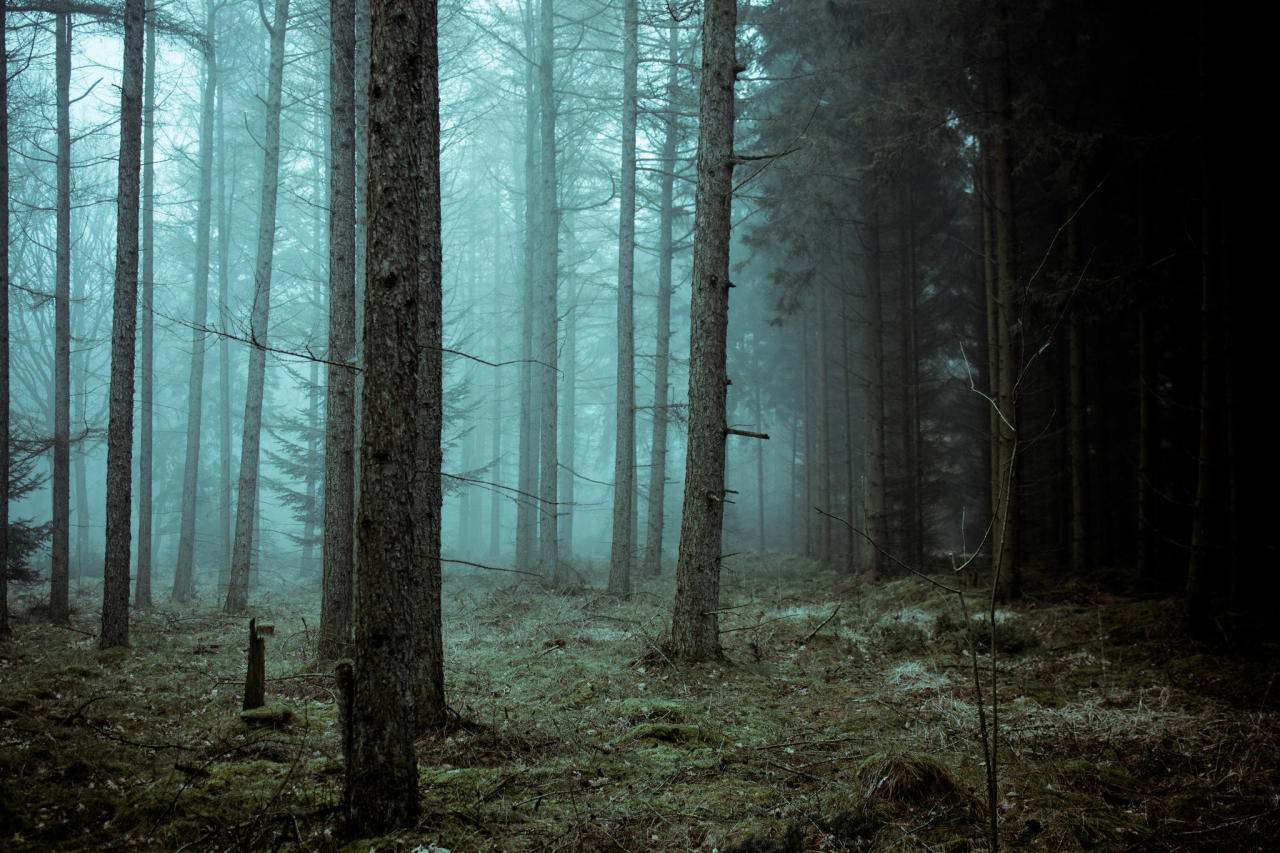 expressions-of-nature