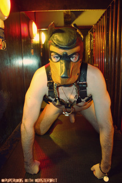 monsterbaitx: IDM Paris 2015 - At Play with Husband That Kind of Orc or @PupCrumbs This was an awesome end to the vacation! 