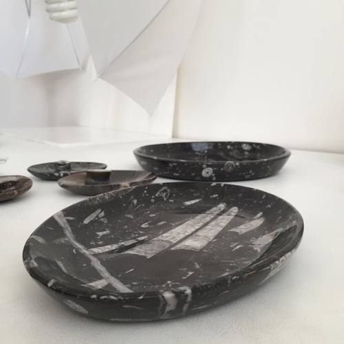 We have been busy listing new products to our web site, these really cool #fossil #bowls and dishes 