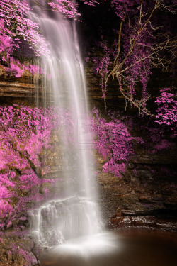 hungariansoul:  gyclli:  Pink Glencar Falls