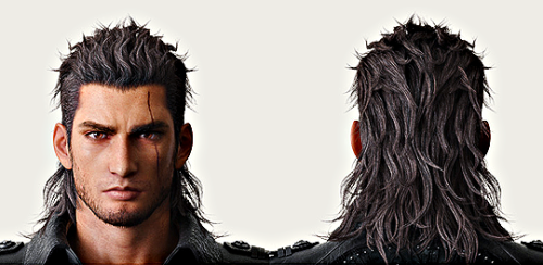 verryfinny: Gladiolus Amicitia