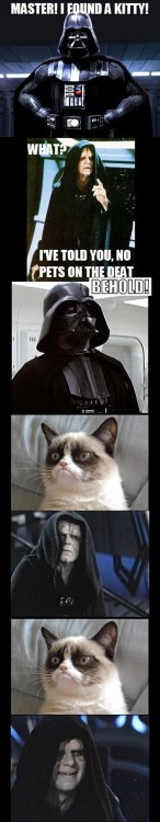  The Deathstar’s new kitty. 