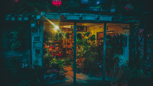 terranaut: More of the town that inspired Spirited Away. Rain and Lights - Jiufen, Taiwan - February