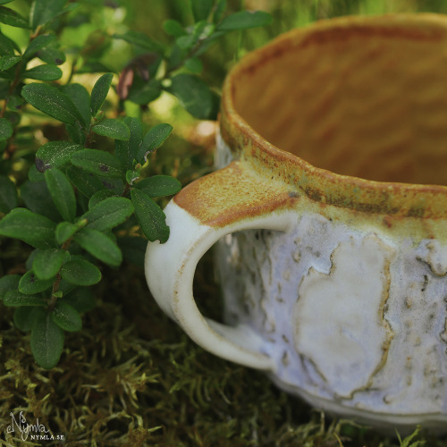 BirchMug13 Inspired by autumn birch trees because.. they’re beautiful and inspiring! Birch tre
