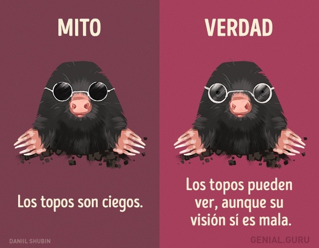 SUPER CACHONDEO