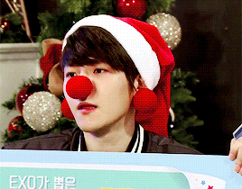 — little puppy