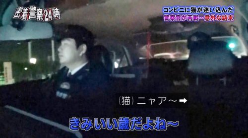 japanesetranslated: nevergreencat: ある罪で警察に逮捕されたネコと、ネコに尋問を試みる警官のやりとりが可愛いわ平和だわで超笑える #警察24時 - Togetterま