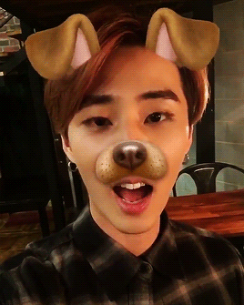 younqk:kang puppy♡  