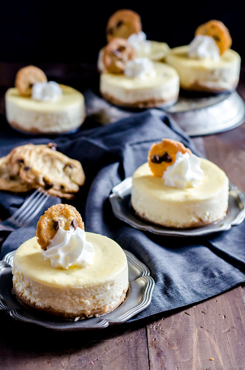 sweetoothgirl:    Mini Cookie Dough Cheesecake porn pictures