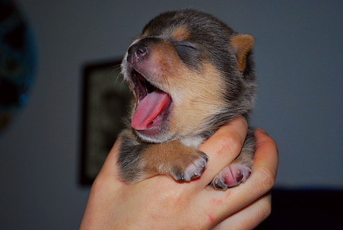 cr4zy-glue:  livel0ngcutie:  don’t change the source.   omg awwwwwwwwwwww