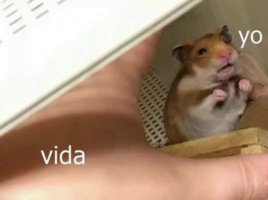 murallamuerta:  Pasa xD