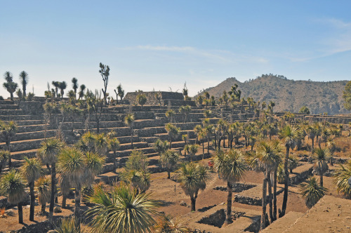 The archaeological site of Cantona, Puebla, Mexico. This site was occupied during the Clas