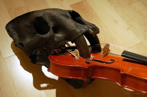 Maskull Lasserre, Epiphany, 2010 bronze, violin  