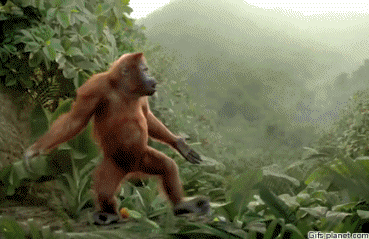 sarcaveman:  IT’S FRIDAY!  HAPPY DANCE TIME!   HUBBA!!!!  HUBBA!!!!  Or…when the kids go back to schoolOr…when I have the house to myself, nakey time!Or…when I have the house to myself, play time!Or…when I fucking have the