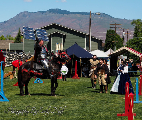 JAWS: Jousting Alliance of Washington StateGood Times.