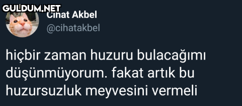 Cihat Akbel @cihatakbel...