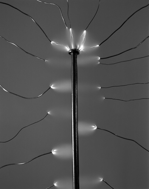 myampgoesto11: David Goldes Electrified Nail (Gelatin Silver Print, 2012) Charged Wires Spinning and