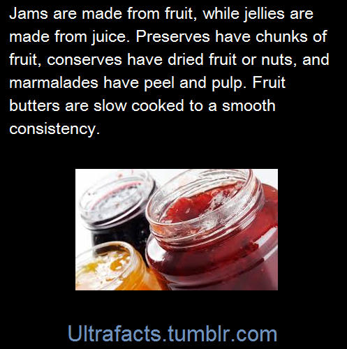leaper182:  sashaforthewin:  ultrafacts:  (Fact Source) Follow Ultrafacts for more facts  THIS is th
