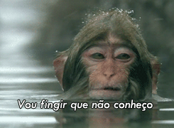 Quando meus amigos ficam gritando que nem loucos no meio da rua