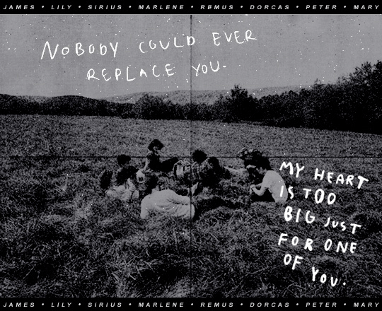 mairauders:H o m e is not where you are from, it is where you belong. Some of us travel the whole wo