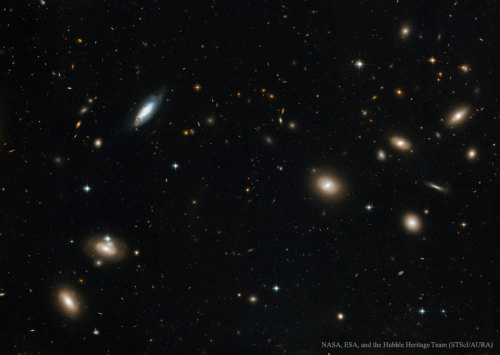 Inside the Coma Cluster of Galaxies : Almost every object in the above photograph is a galaxy. The C