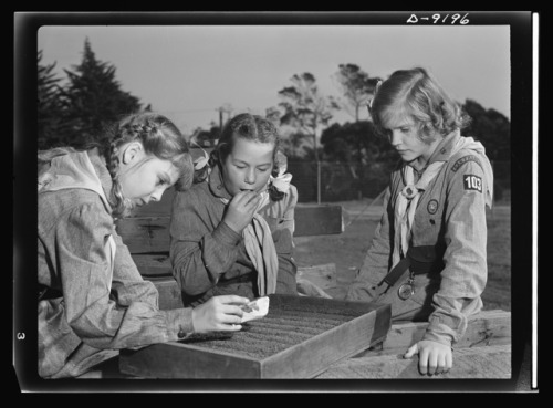  Victory Gardens–for family and country. Hopscotch has been supplanted by a new and serious ga