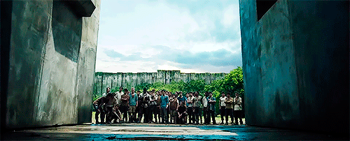 amazedrunner:  The Maze Runner + scenery  