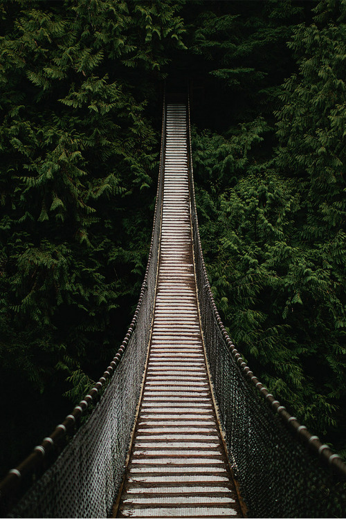 mystic-revelations:  Bridge By Jordan Voth 