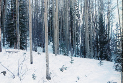 emptieds:  Santa Fe National Forest, New