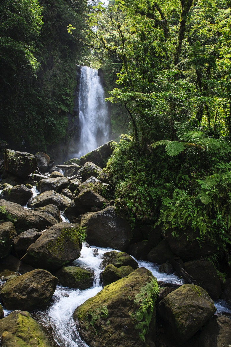 land-city:  Waterfall in Dominica by Kyle Cox | 500px Dominica   