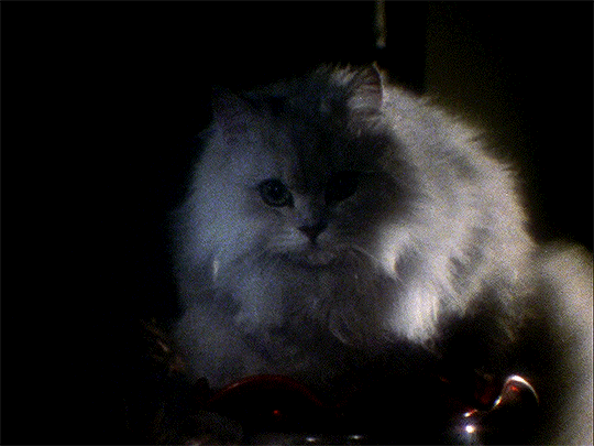 myellenficent:  Hausu (1977) Dir. Nobuhiko Obayashi