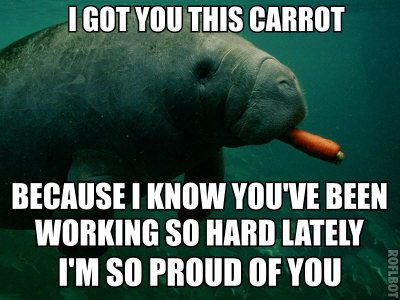 yetiokay:  yetiokay:   ohmygod i just sent this to my math teacher instead of my