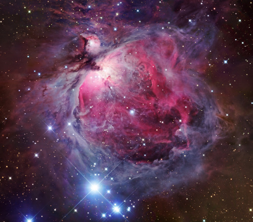 M42 - The Great Orion Nebula (Various Views)