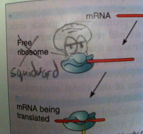 fartgallery:  I defaced the book but it had to be done 
