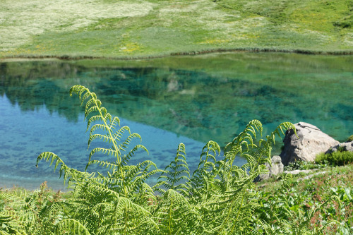 Lac des fées by Benoît Deniaud