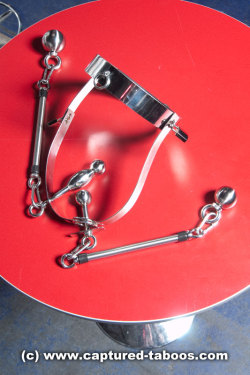 fuckiamsexedout:  Kinky Sextoys - Steel Belt with moveable double dildos and weights 