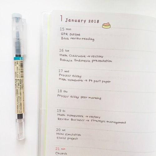 late post of last week’s planner overview! | 28.01.25