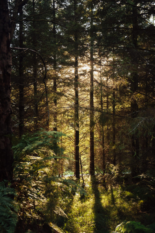 hullocolin:by Jaccob McKayInstagram | Tumblr | Facebook
