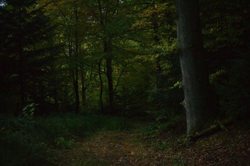 matavrvz:Let’s get lost