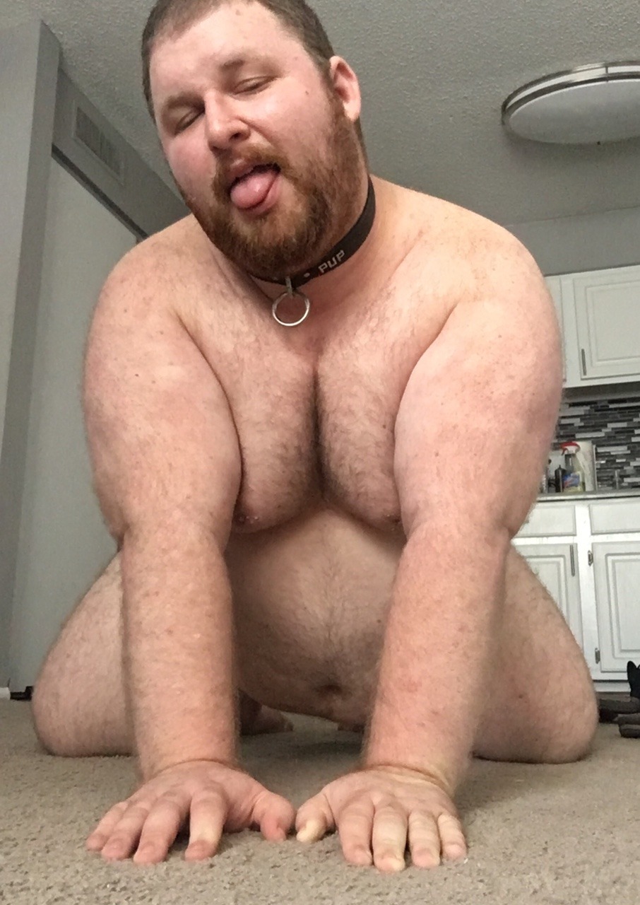 brutusthehogpup:  Wruff! Pup Brutus reporting for duty. Between all the teasing from